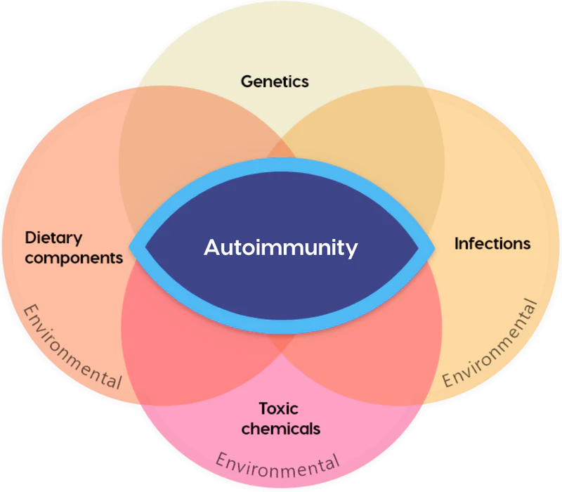The Role of Lactoferrin in Immune Health: Why It’s a Game-Changer
