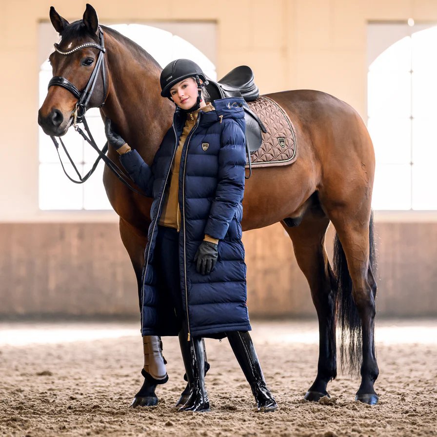 GS Equestrian: Your Trusted Partner in Equestrian Excellence