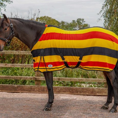 GS Equestrian: The Ultimate Destination for Riders and Horse Lovers