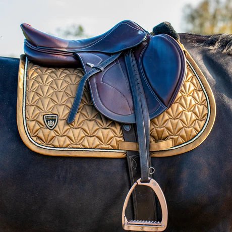 GS Equestrian: Your Trusted Partner in Equestrian Excellence