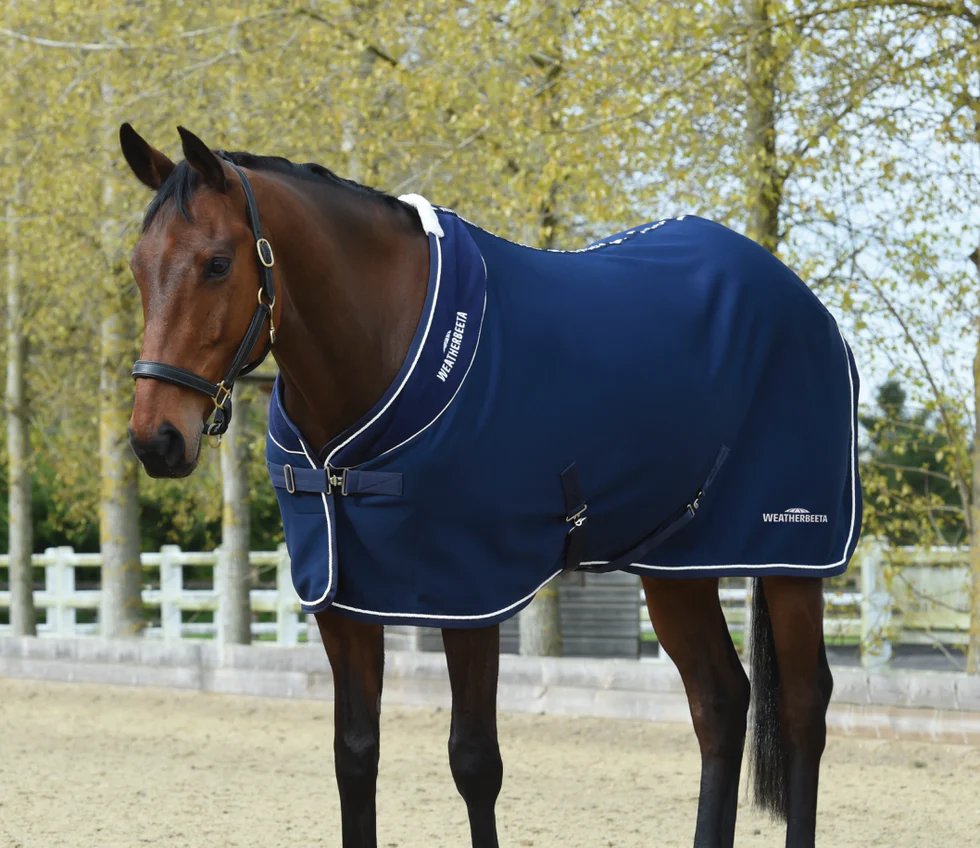 GS Equestrian: Your Trusted Partner in Equestrian Excellence