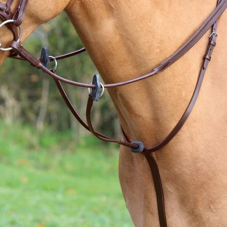 GS Equestrian: Your Trusted Partner in Equestrian Excellence
